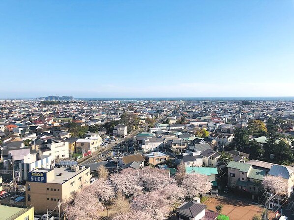 湘南パールマンションの物件内観写真